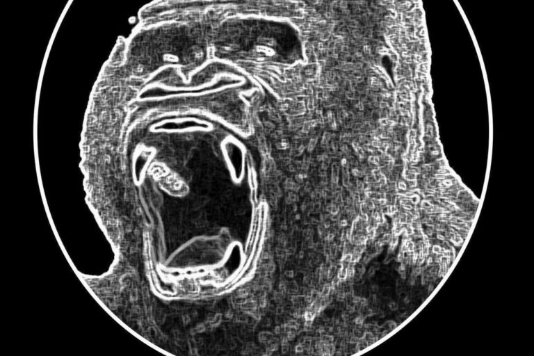 Restaurant Gutschein für Gorilla-Bar