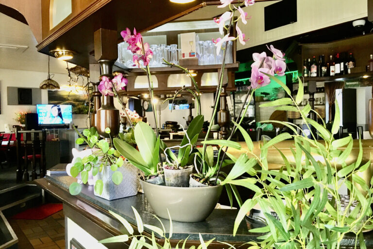 Restaurant Gutschein Oishi Sushi am Forsthaus Gelsenkirchen